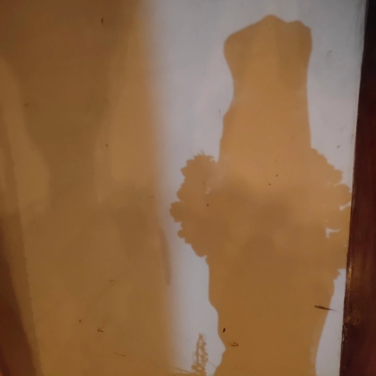 TPKANNANPRASAD's tweet photo. I always look for the shadow of God in everything I experience and Vishu is the occasion in which the prayers are made for a good year ahead. I wish my dearest ones an excellent year ahead of this Vishu day.... Happy VISHU everyone.... https://t.co/dZcoVsw61J