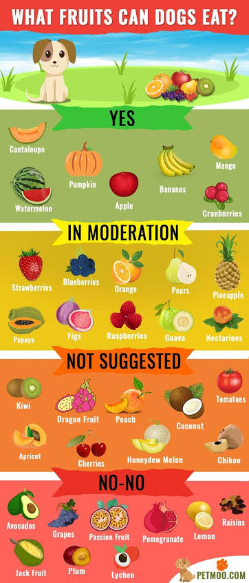 piyopikavet's tweet photo. Nemu infografis ginian, kali dok @txtdaripetfood ada koreksi? https://t.co/aFUXHUIWon