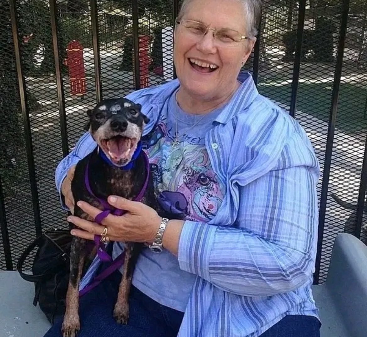 @AMAZlNGNATURE KINDNESS story that touched my heart This kind woman walked into our shelter and asked who the oldest, hardest to adopt dog was. So we introduced her to Jake. All I can say is God Bless this woman. Jake has been with us for a long time, is a senior, and has cancer in addition