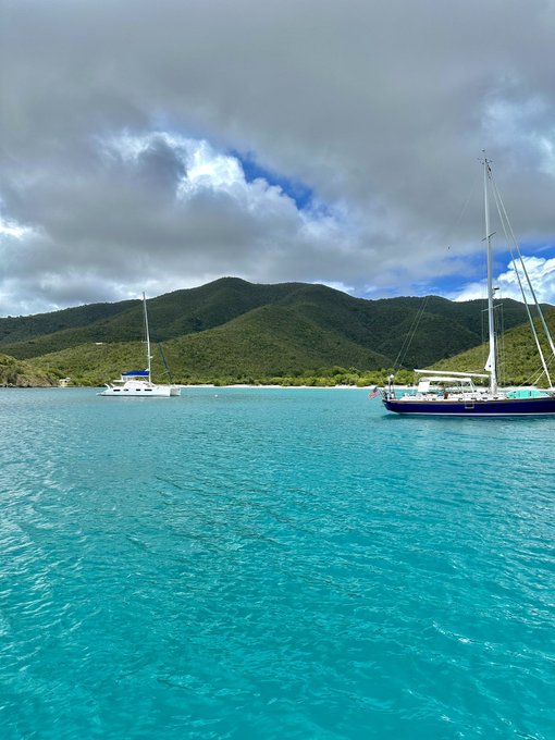 Gm 🐠 https://t.co/wQrSVVwPYj