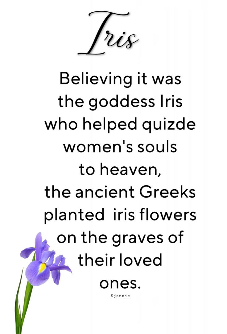 Haitianbratt94's tweet image. si se pa pou 2 zyem prizon sa m sot pran la m patap janm konn bagay konsa! lmfao e bien Moun #3let mwen yo merci🩶👁️🕯️🌸🩶 i absolute love reading bout "Mythical" beings but hummm ok lmfao love yall #Tribe 💌🥰😍🕯️😘😘
youtu.be/2uz_HBfg4Vc?si…