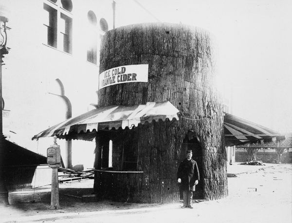 The Hottest Drink of the 1893 World's Fair Was an Artificial Orange 'Cider' buff.ly/3PUGcha