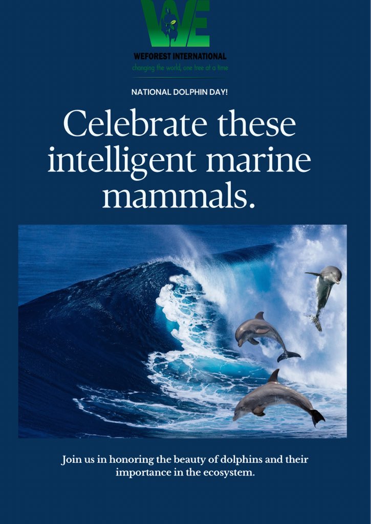 Weforestinter's tweet image. Did you know dolphins are incredibly intelligent creatures? They face threats like habitat loss and pollution. Let&apos;s work together to protect them! 14th April is the day 
What do you love most about dolphins? Share your thoughts in the comments below! Happy National Dolphin Day