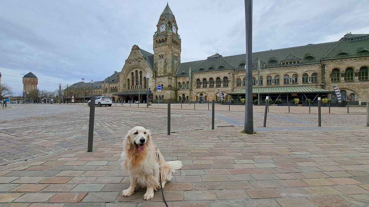 Hey Friends, now I wanna show u  marvelous Metz train station. Inaugurated 1908 during the German annexation. Built for Kaiser Wilhelm II. 3 times voted most beautiful station in France. The facade is over 300 m long in total. 😘😘 #dogcelebration @GrosdidierMetz @inspire_metz