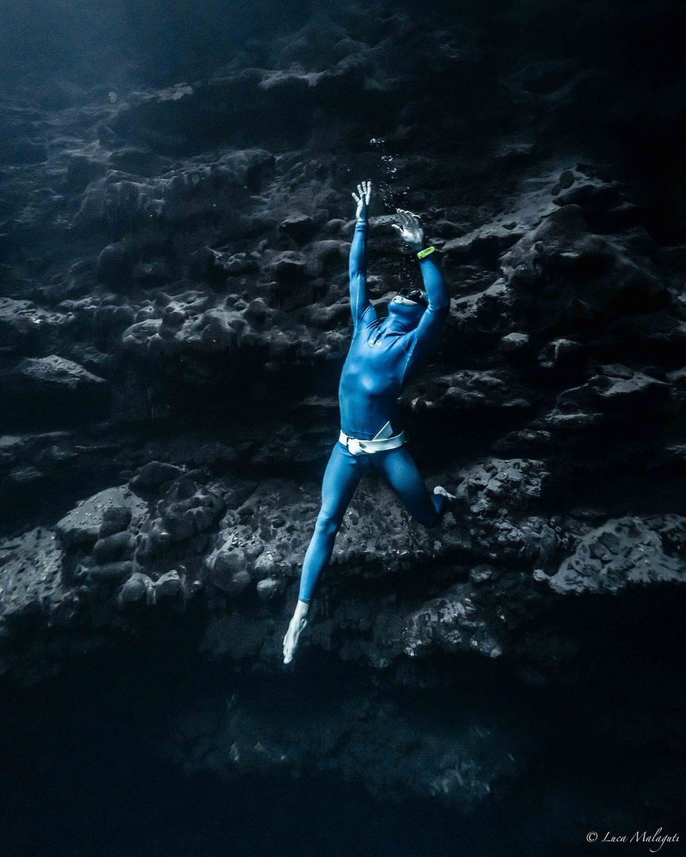 Amidst the tranquil azure waters, Mexico’s cenotes guard the secrets of civilizations long gone.
⠀
📸 @luca.freediver 
⠀
#alchemy #alchemyfins #freediving #alchemyv3 #underwaterphotography #freedive #carbon #carbonfins #bifins #diving #ocean #nature #fitness #explore