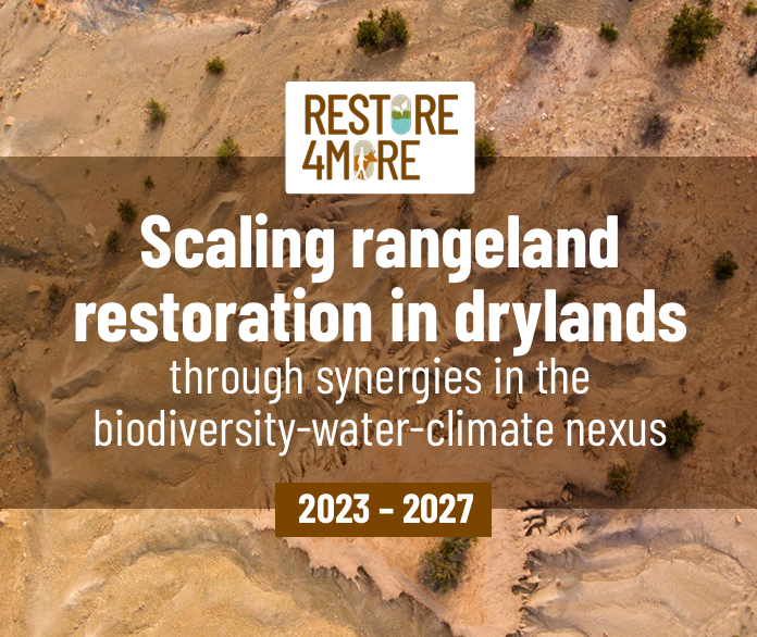 lawinowiecki's tweet photo. So excited to launch the Restore4More project this week, here in Nairobi, #Kenya 
https://t.co/2CSTAbbL2C

@AidaBargues @CIFOR_ICRAF @SLUglobal1 @DrylandsTransf1 @IGADsecretariat @siwi_water @uonbi @StockholmUniLib @ViAgroforestry @Makerere https://t.co/z8KA6dTibO