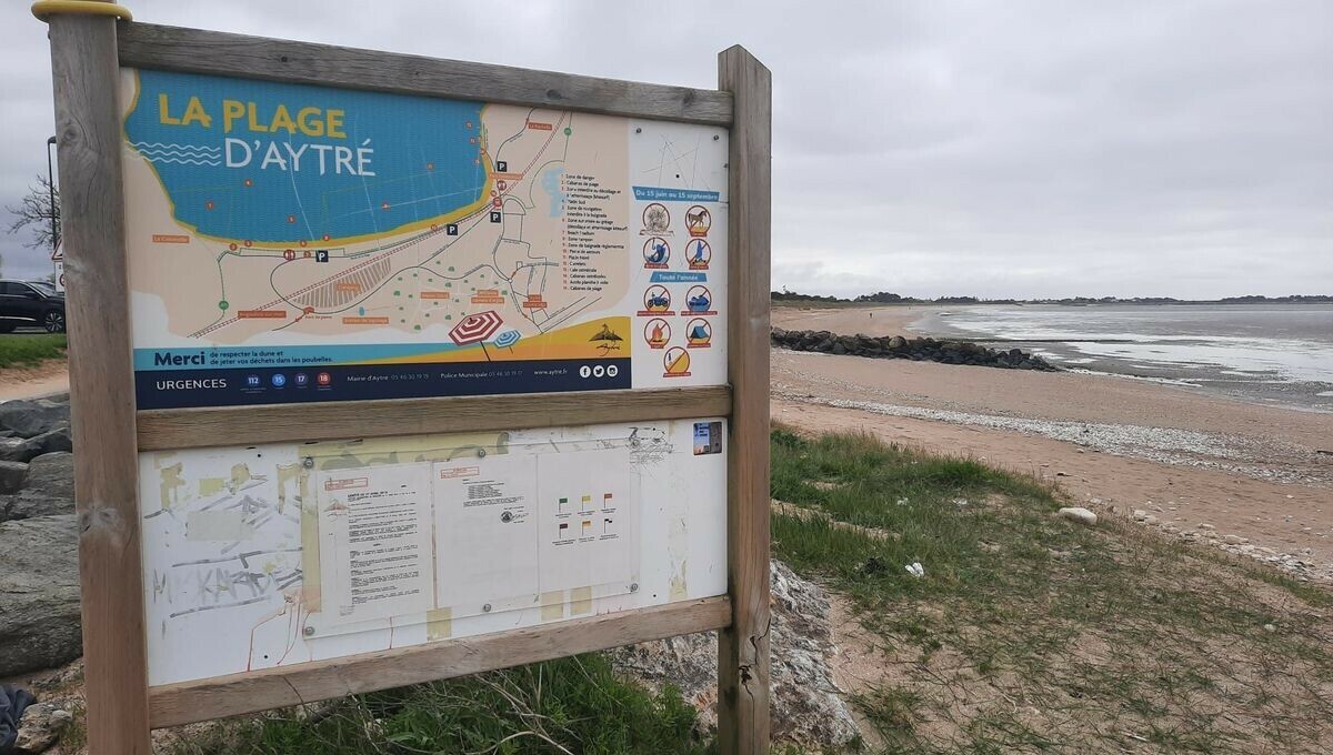 Contamination bactériologique : la baignade sur les deux plages principales sera encore interdite cet été à Aytré ➡️ l.francebleu.fr/Pxpt