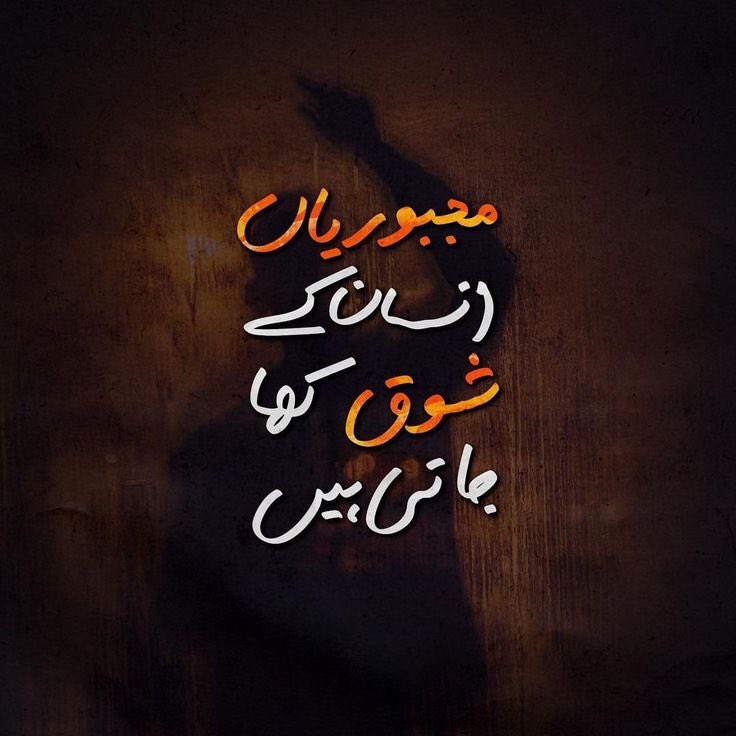 Safdar Bodla tweet media