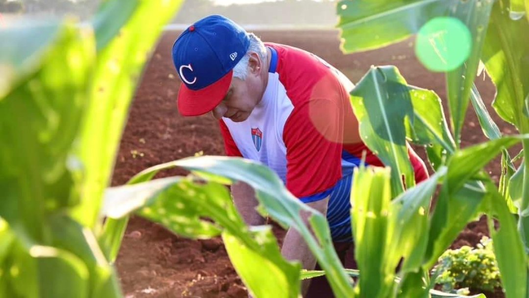 "El hombre ha nacido para trabajar, y sólo quien trabaja con amor ❤️ y asiduidad encuentra leve la fatiga".

‼️ En toda #Cuba 🇨🇺 intensa jornada de trabajo voluntario, nuestro Pimer Secretario del CCPCC <a href="/DiazCanelB/">Miguel Díaz-Canel Bermúdez</a> AL FRENTE ‼️
#YoSigoAMiPresidente
#PorCubaJuntosCreamos 
#Cuba 🇨🇺