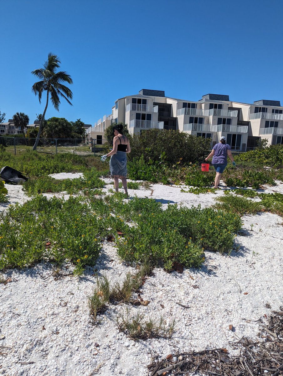 crferrie's tweet image. Had a successful time collecting all sorts of trash and plastic off the beach this morning. Thank you to thoae that showed up! 😎✌🏼💙

@cleanify_vet makes it easy to create a campaign for #sustainableactions through their dapp on @vechainofficial  official VeWorld wallet... #vet