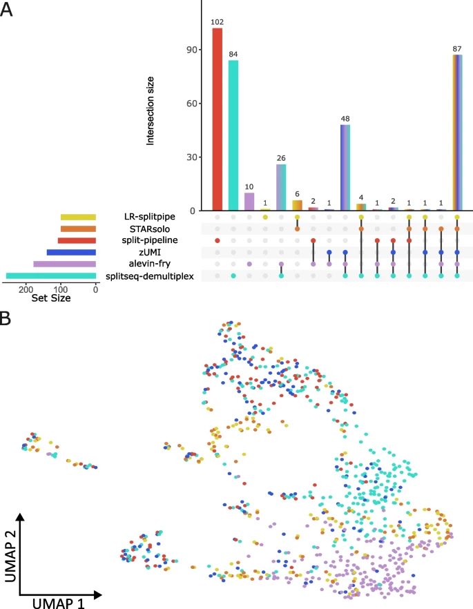 Ugh. Yet another confirmation that the tool used to preprocess single-cell RNA-seq really matters. In this case a comparison of some split-seq quantification tools. Ugh. bmcgenomics.biomedcentral.com/articles/10.11…