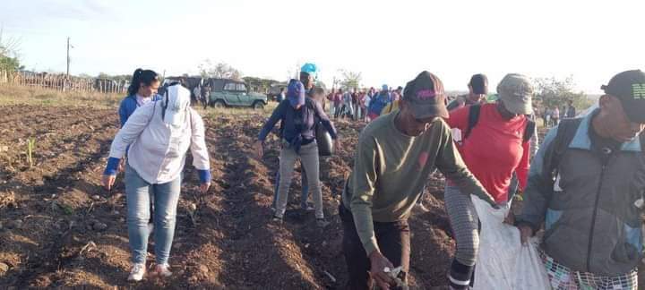 🇨🇺 Los espirituanos en trabajo voluntario en saludo al día internacional del proletariado. #1DeMayo #PorCubaJuntosCreamos #SanctiSpíritusEnMarcha @DeivyPrezMartn1 @FrankOsbel @SanctiSpiritus1 @RosaEspirituana