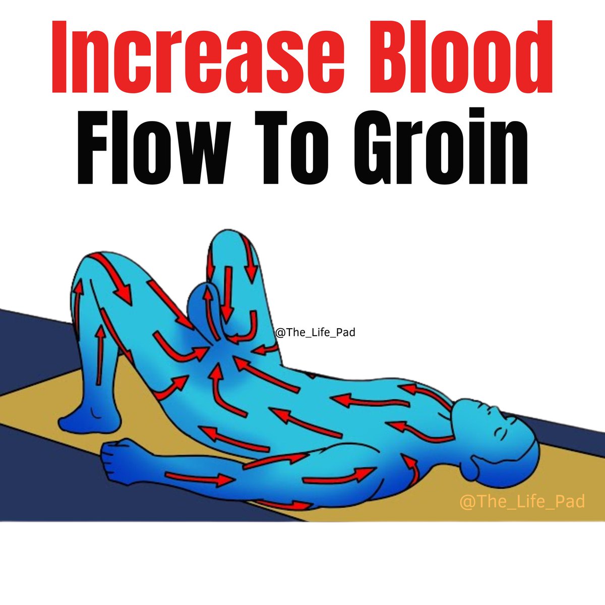 Increase Blood flow To Groin ➜ Male Pelvic Floor Exercises

Men, this is how you can satisfy your woman 👇