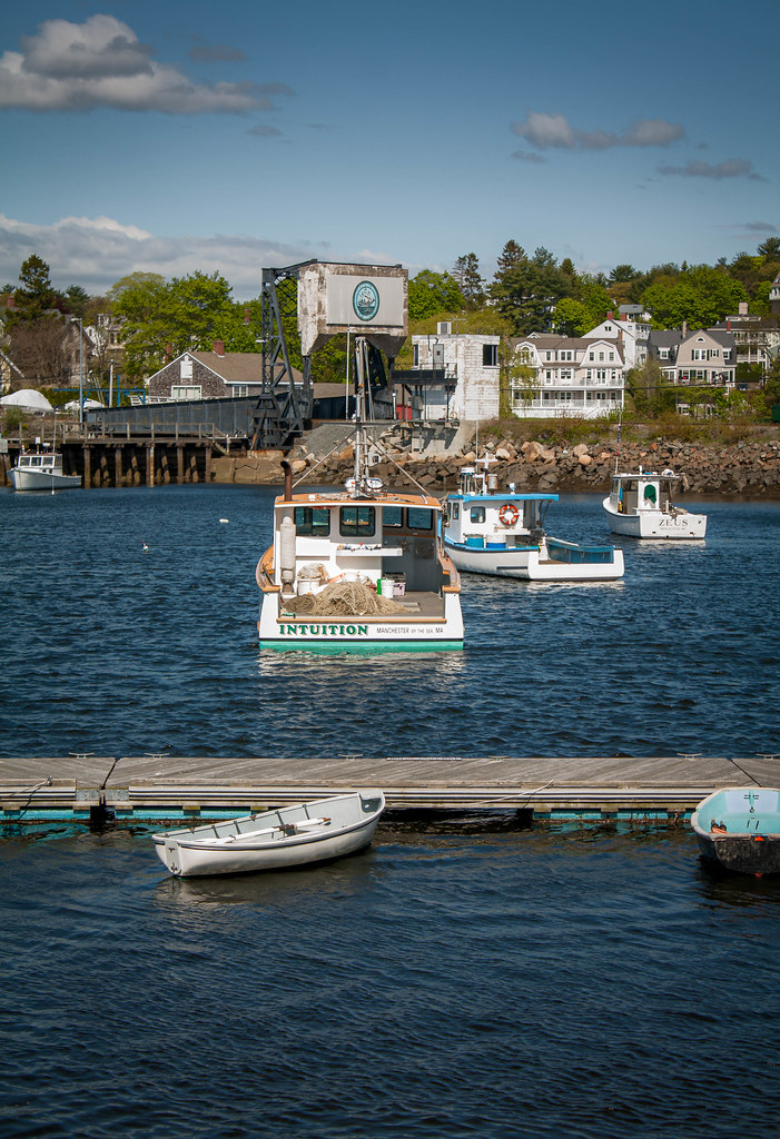 Cape Ann Photos:  Intuition dlvr.it/T5VNjN