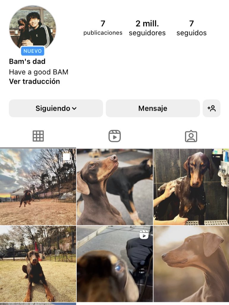 📊| Bam officially becomes in the fastest pet account to reach 2 MILLION followers on Instagram! CONGRATULATIONS BAM CONGRATULATIONS JUNGKOOK