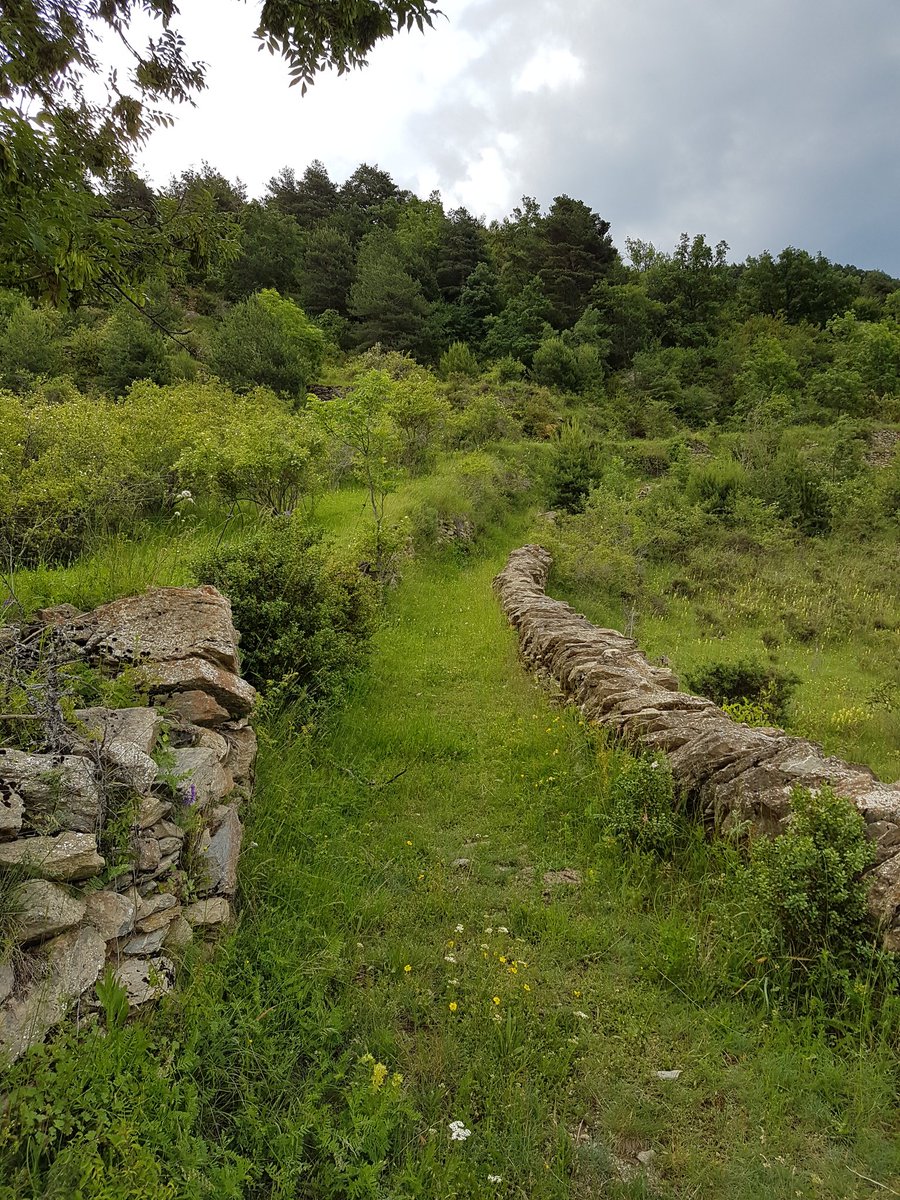 carlosguardia10's tweet image. Camins d'accés a partides del terme de Bescaran (Valls de Valira, Alt Urgell), detallats a la planimetria del 'Cuerpo del Estado Mayor del Ejército' del 1929 i al cadastre històric de l'any 1955 #rightsofway #footpaths #AltPirineuiAran