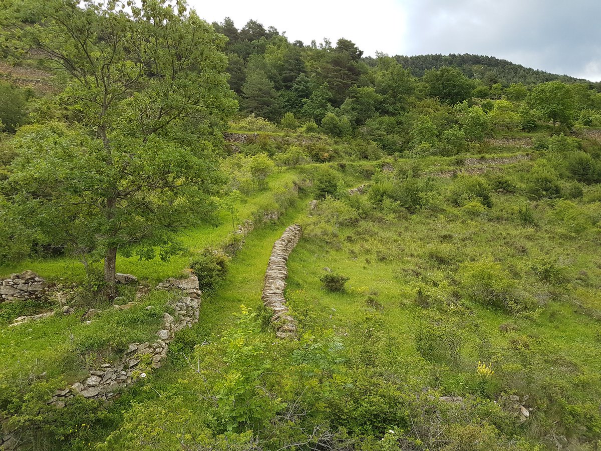 carlosguardia10's tweet image. Camins d'accés a partides del terme de Bescaran (Valls de Valira, Alt Urgell), detallats a la planimetria del 'Cuerpo del Estado Mayor del Ejército' del 1929 i al cadastre històric de l'any 1955 #rightsofway #footpaths #AltPirineuiAran
