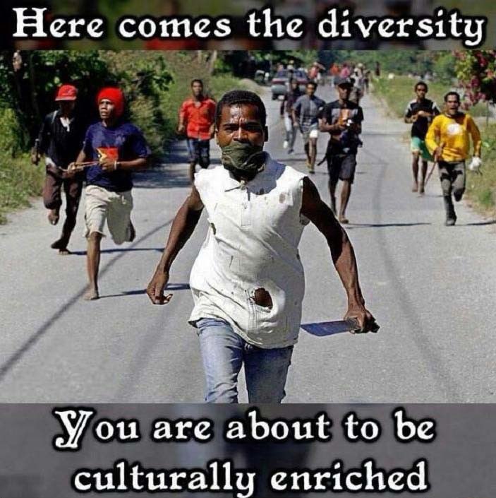 <a href="/libsoftiktok/">Libs of TikTok</a> Chill out!!! It’s just diversity.
