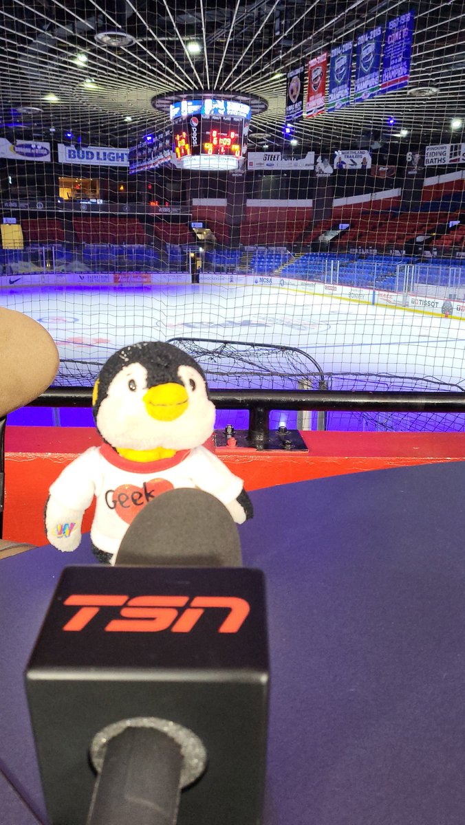 Squishi Small-Bridges Penguin is all ready for Gold Medal day at the #WomensWorlds