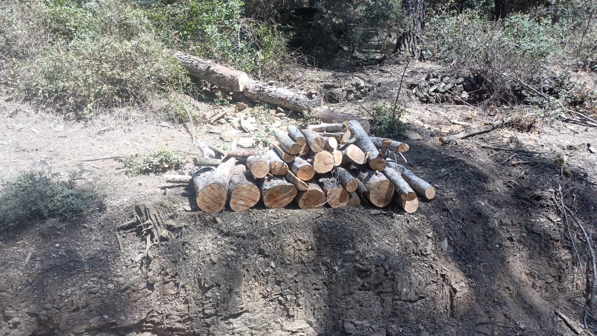 Avui fem sortida per l'avís d'un arbre caigut passat Can Vallirana, continuem treballant per les nostres muntanyes i fent-les accessibles en cas d'emergència. <a href="/sfadfcat/">SFADF</a> <a href="/fadfbllobregat/">Federació d'ADF's del Baix Llobregat</a>