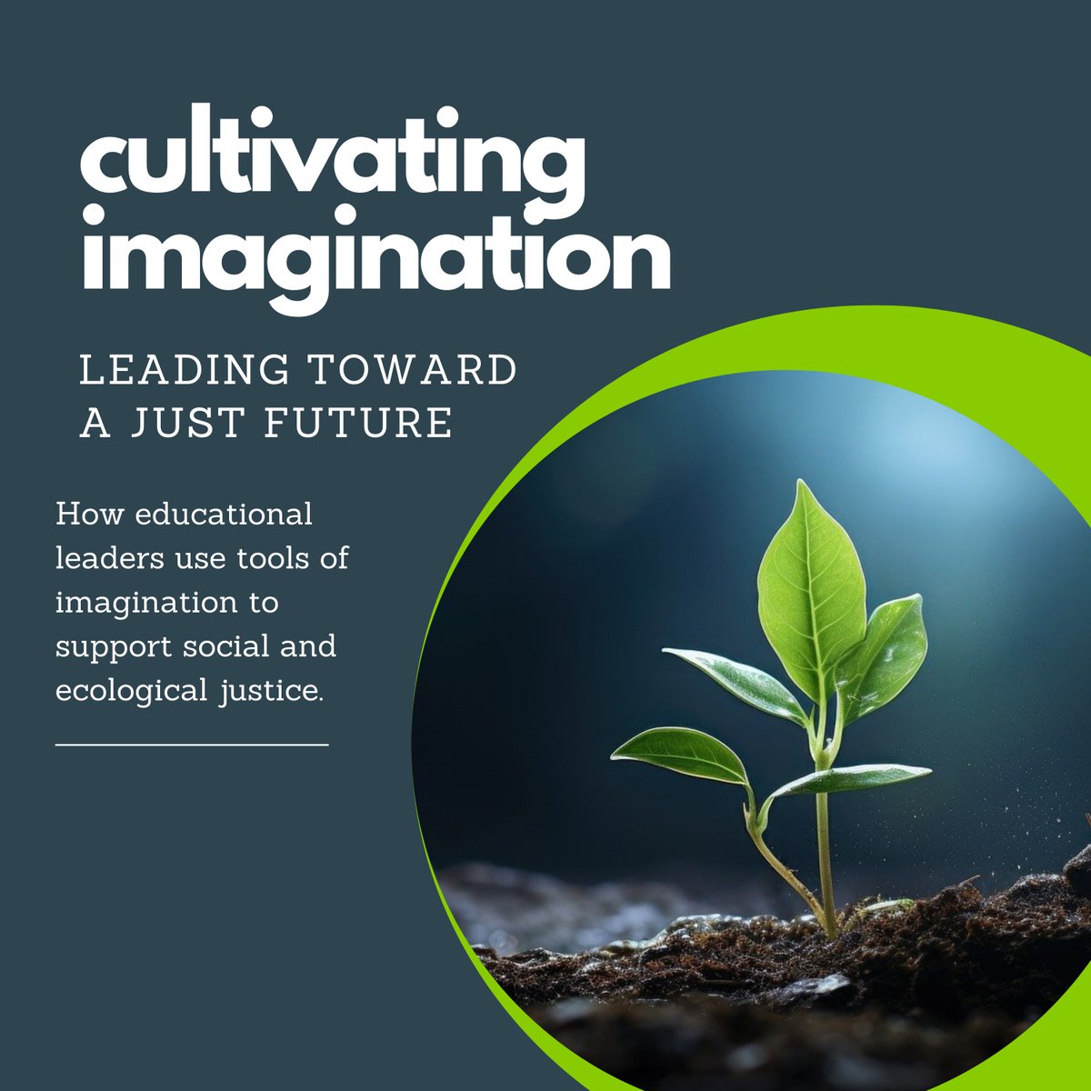 Our current work on imagination & leadership-find links & resources for participating & connecting. educationthatinspires.ca/2023/04/03/cul… #imaginED #leadership #socialjustice #ecojustice Project site: cultivateimagination.ca Blog: educationthatinspires.ca Would love to connect with you @ruha9!