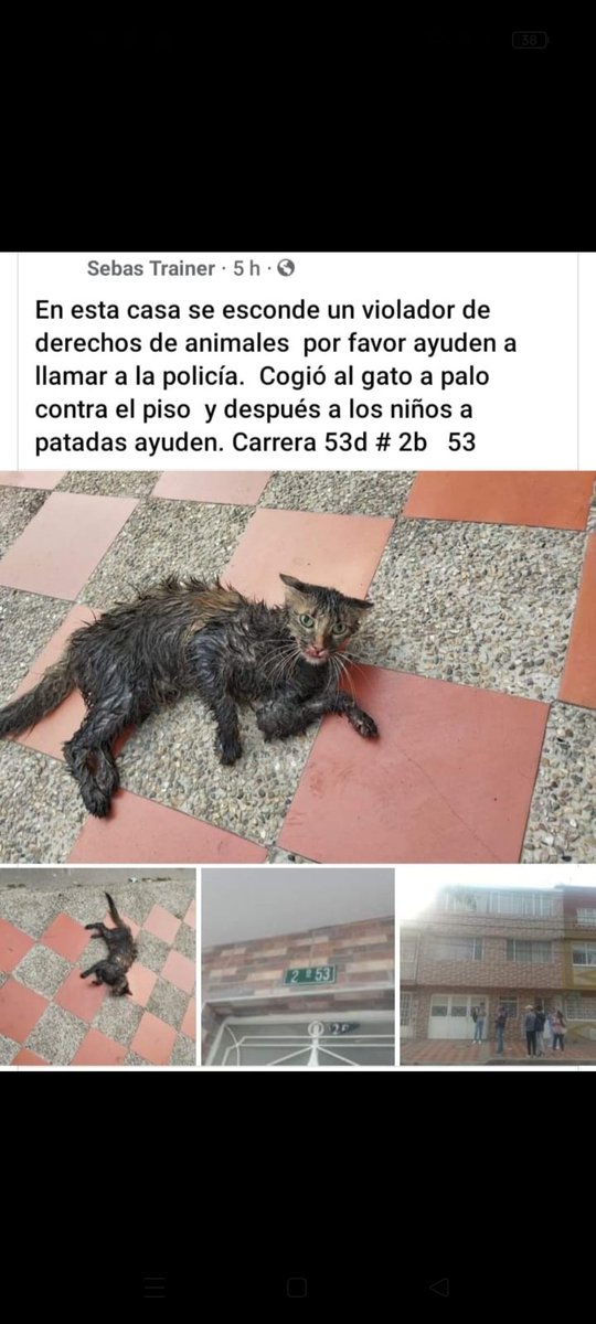 Por favor 🙏🏼😞 según la denuncia es muy grave lo que supuestamente pasa en ese lugar. Por favor ayuda🙏🏼 según la dirección es en @PuenteAranda_ @AnimalesBOG @CarabinerosCol @Bogota ayudaaa ..no se sabe que paso con el gatico y los niños!!