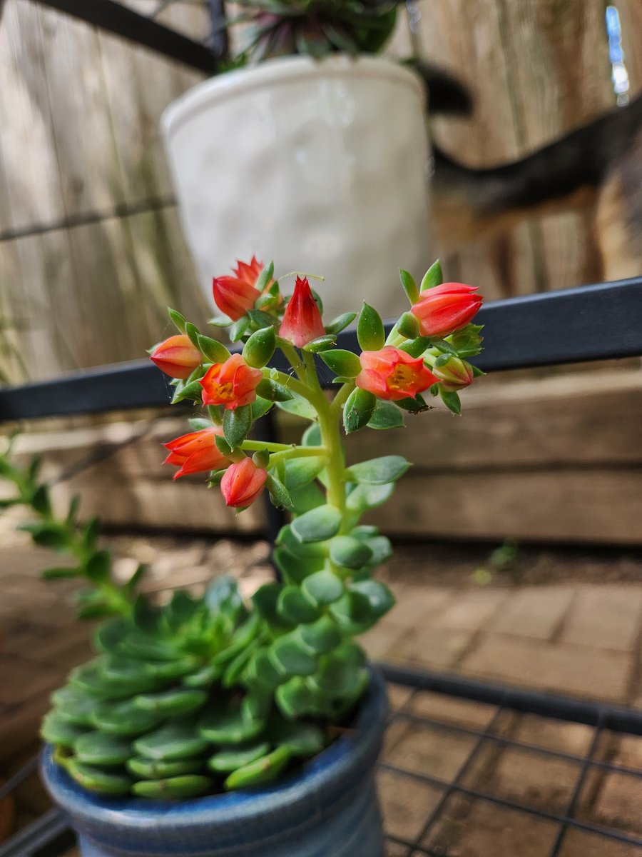 Jakeplus2's tweet image. 