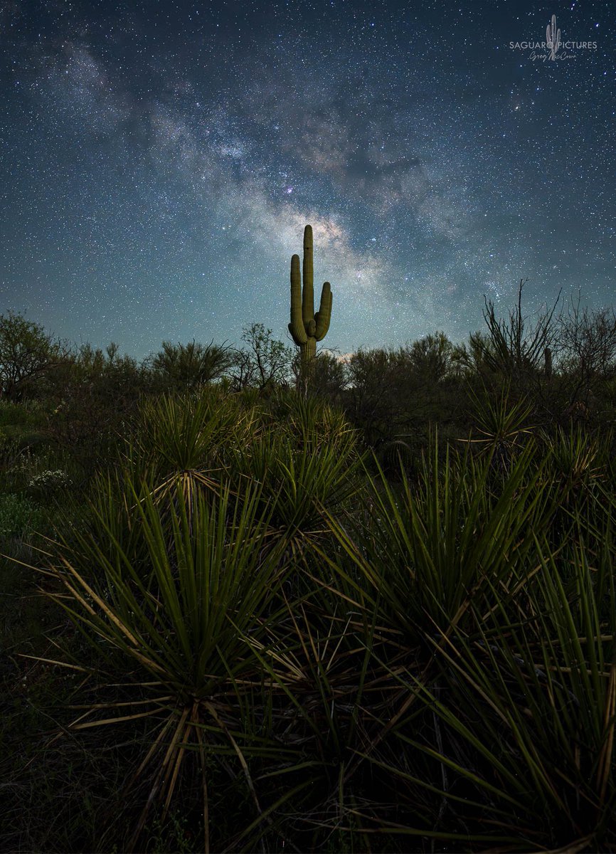 Nothing more quiet that a night in the desert...........at least until the coyotes decide that it's too quiet. 2:30am this morning southeast of Tucson.