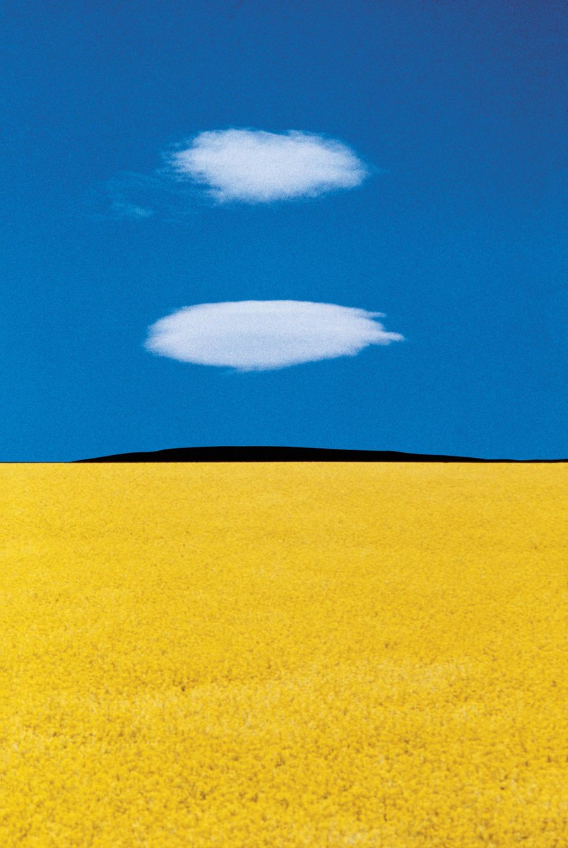 21. Wheat field in Puglia, a 1978 photo by Franco Fontana