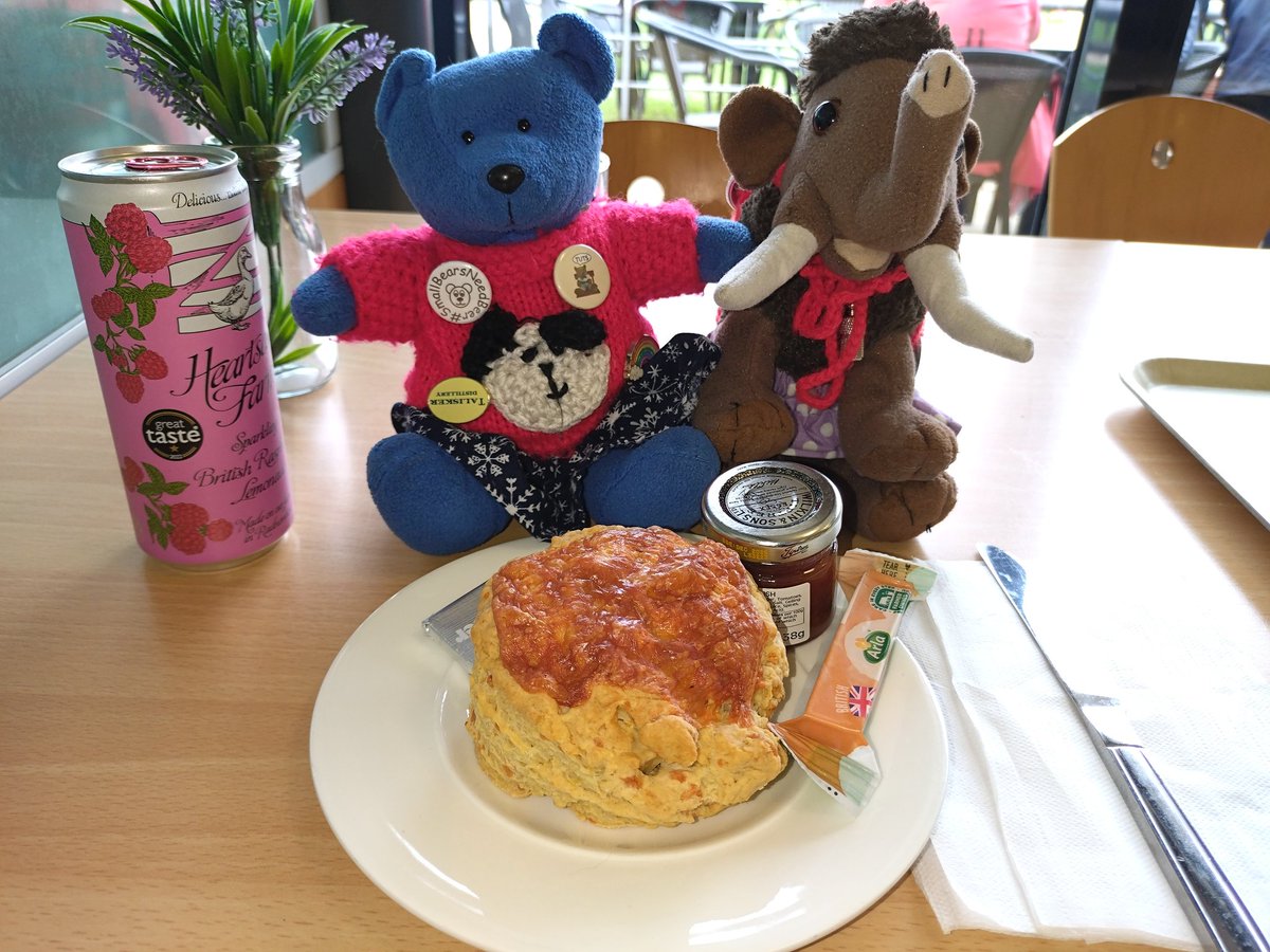 We went to @EHBolsover on our way home today. We had a good wander around the Castle, saw the Lego castle and mosaic they are building and after the scone crisis on Friday, we needed to do careful 'research' about the quality of scones on offer here. #smallbearadventures