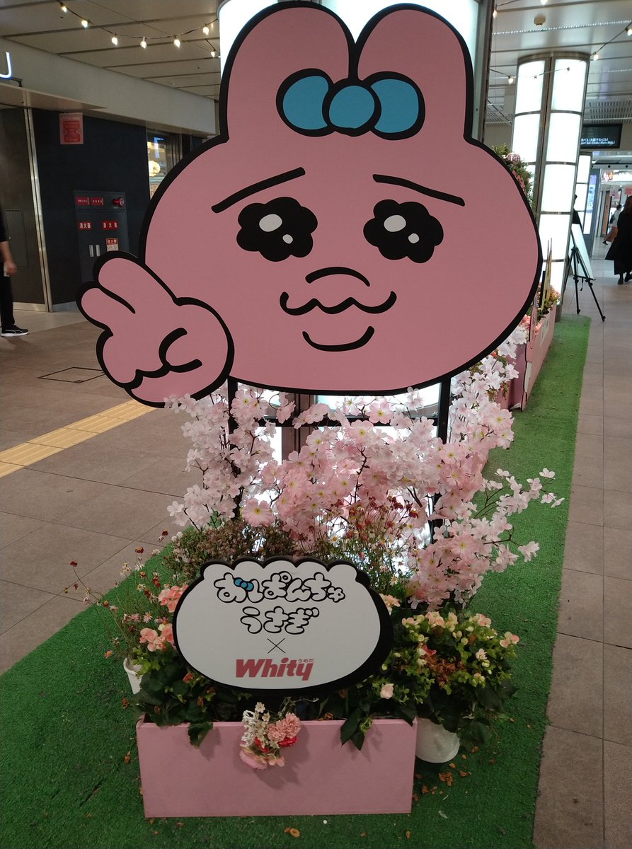 karin825's tweet photo. 数年前いのーえさんがイメージキャラクターやってたあれを今年はおぱんちゅがやってます笑 https://t.co/x8D0WYQmrN