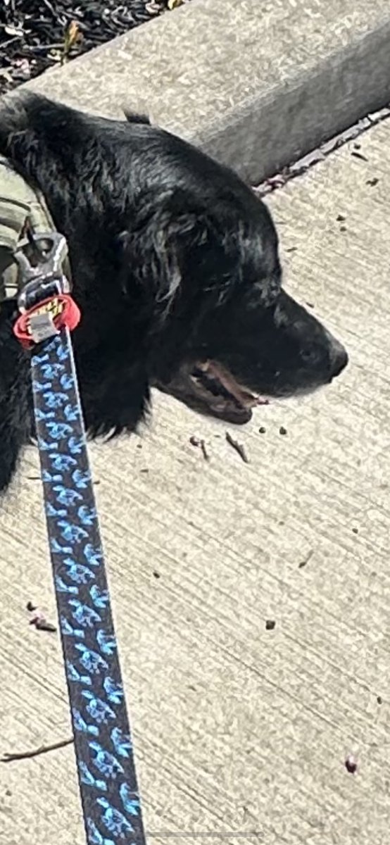 The Hub OTR tweet media