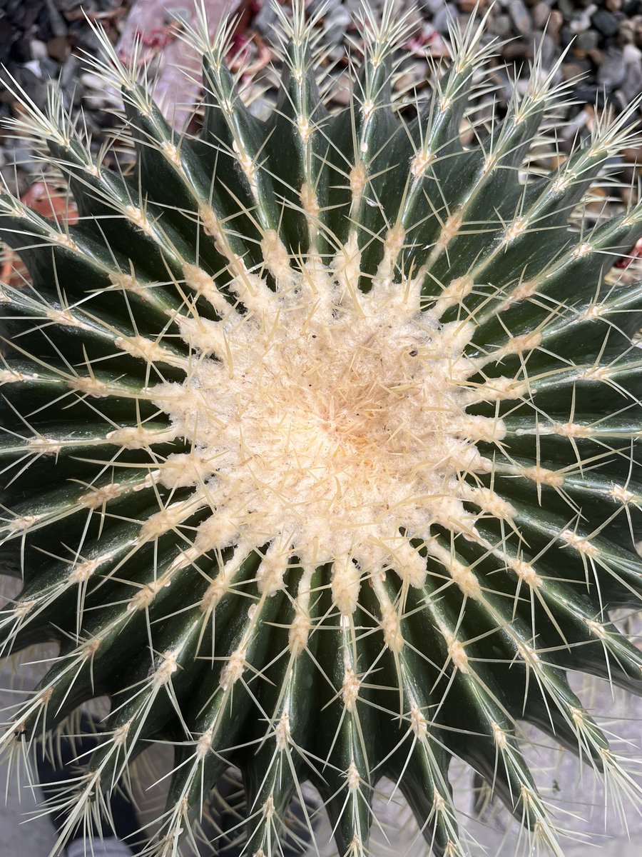 :: clêriku :: tweet media