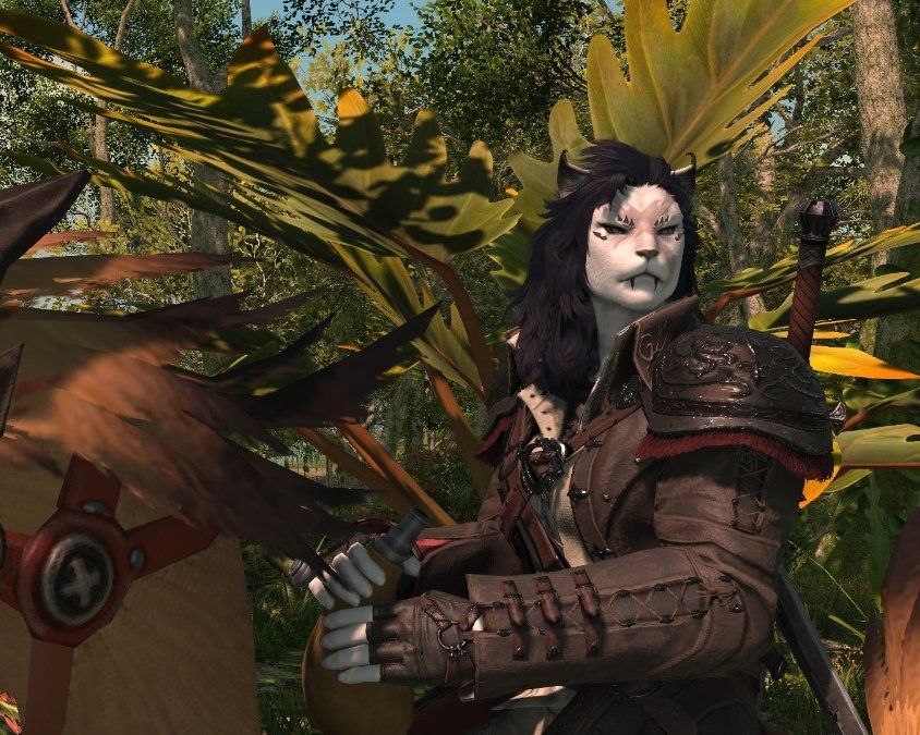 Dawntrail Benchmark is here and...what can I say. Hope I can get everything resolved til launch xD
#FinalFantasyXIV