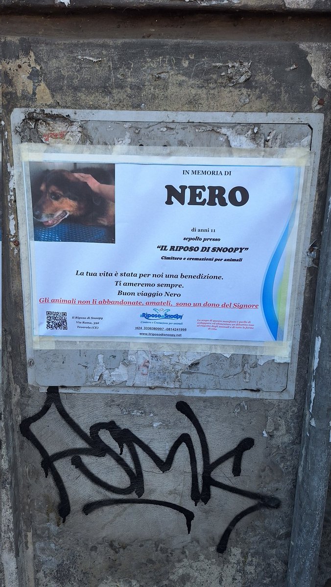 Superabeille's tweet photo. Y a des gens qui ont un cœur  #RIPNero #Napoli https://t.co/j1dPGT98Fv