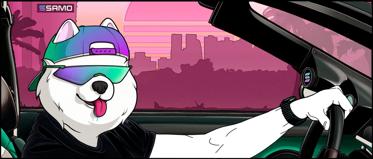 samoyedcoin's tweet photo. get in loser...

we're gonnna bounce and head straight to the 🌕 https://t.co/TbYbfXidh0