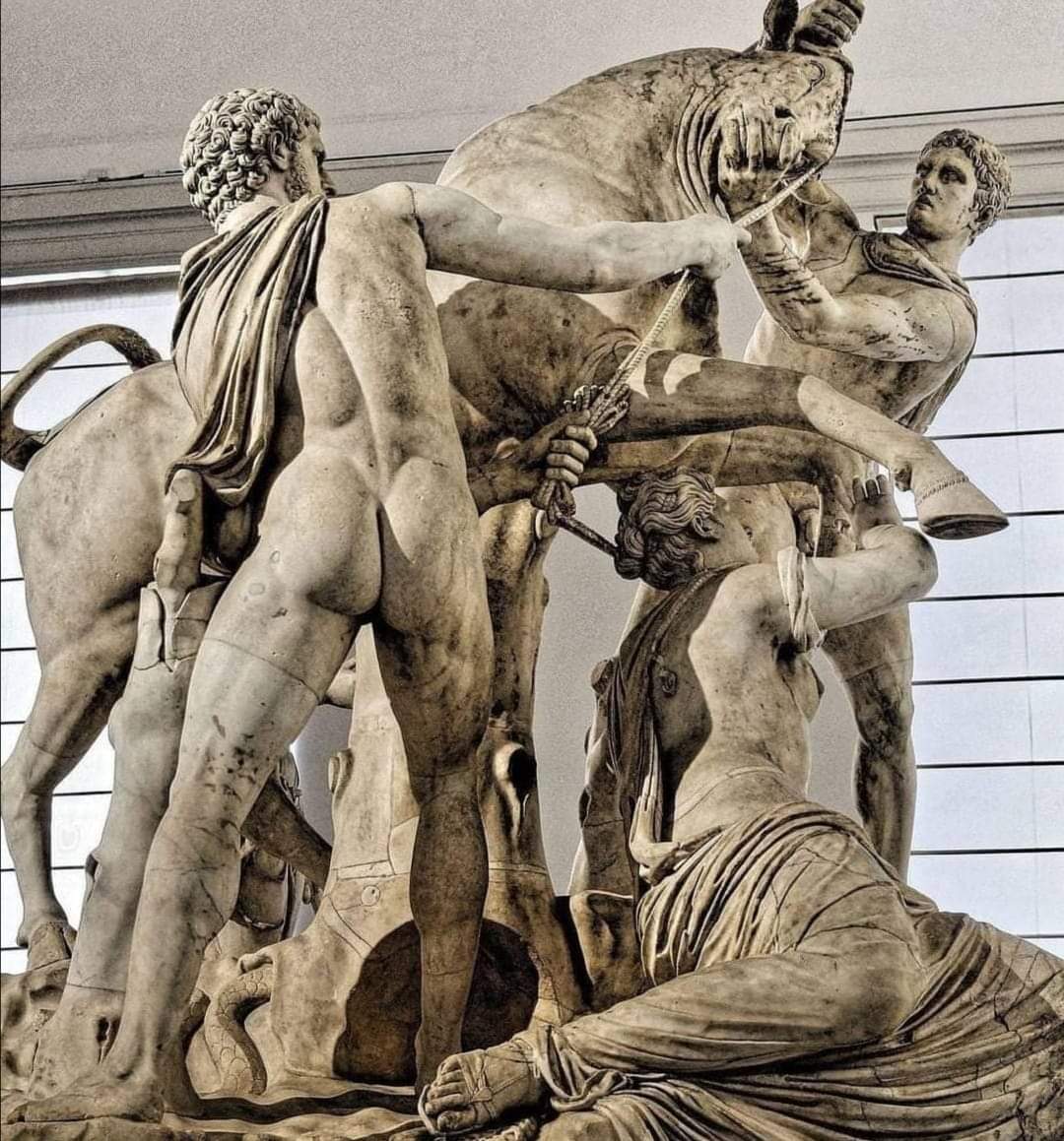 Farnese Bull, the largest sculpture found in a single block of marble recovered from antiquity.

The group was unearthed in 1546 AD, during excavations at gymnasium of the Roman Baths of Caracalla, commissioned by Pope Paul III in the hope of finding ancient sculptures to adorn