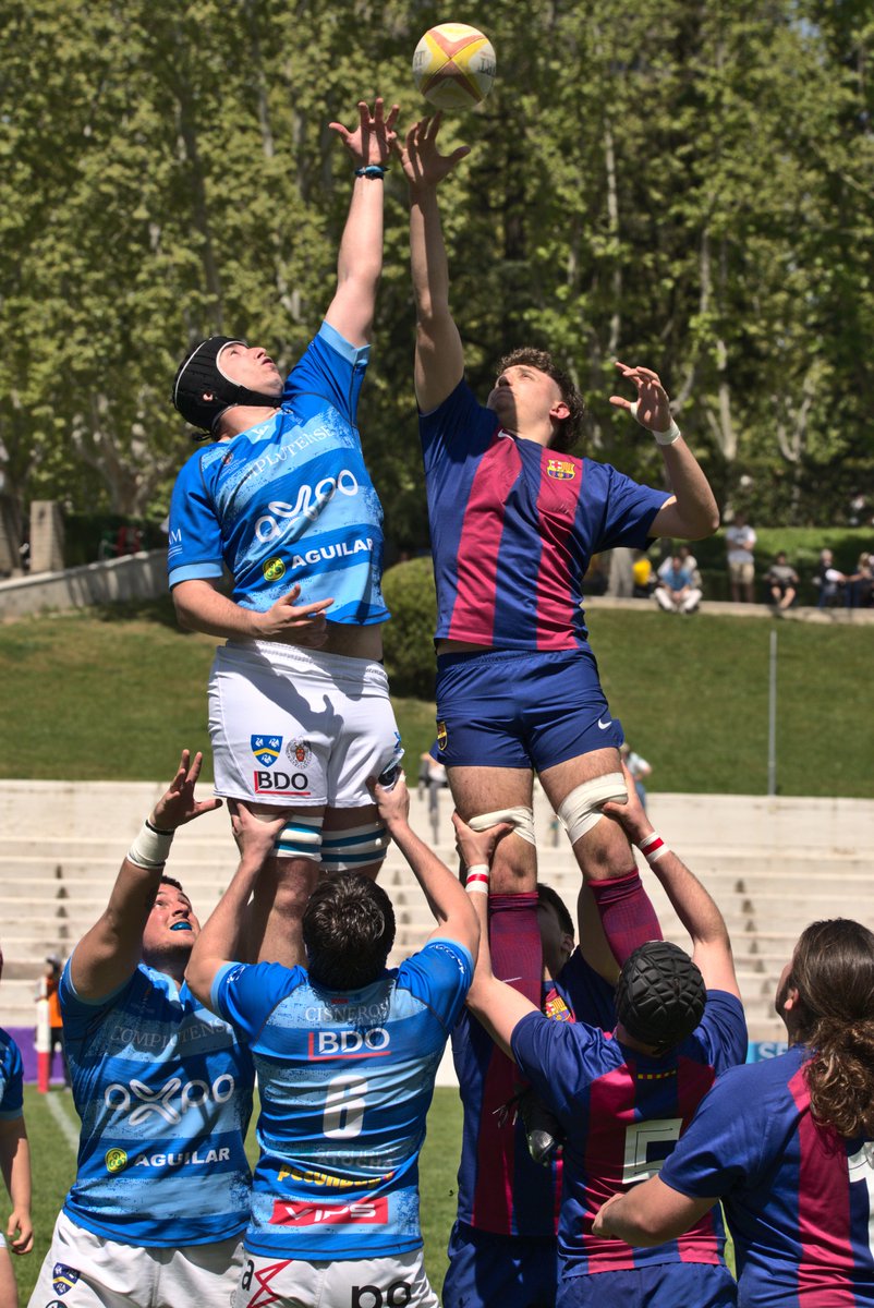 CarlosAL_WP's tweet photo. ¡¡@Cisneros_Rugby Sub23 a Semifinales tras ganar hoy en el Central a @avrfcb en Cuartos!!
#Parabá #Rugby #Cantera #RealSub23 https://t.co/CFOCOTx8ad