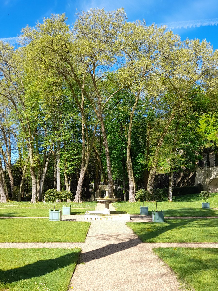 Venez faire un tour au Paradis...un thread sur #ChateauGaillard à #Amboise,  jardin dédié aux agrumes, créé par Dom Pacello pour Charles VIII 🍋🍊 🌳