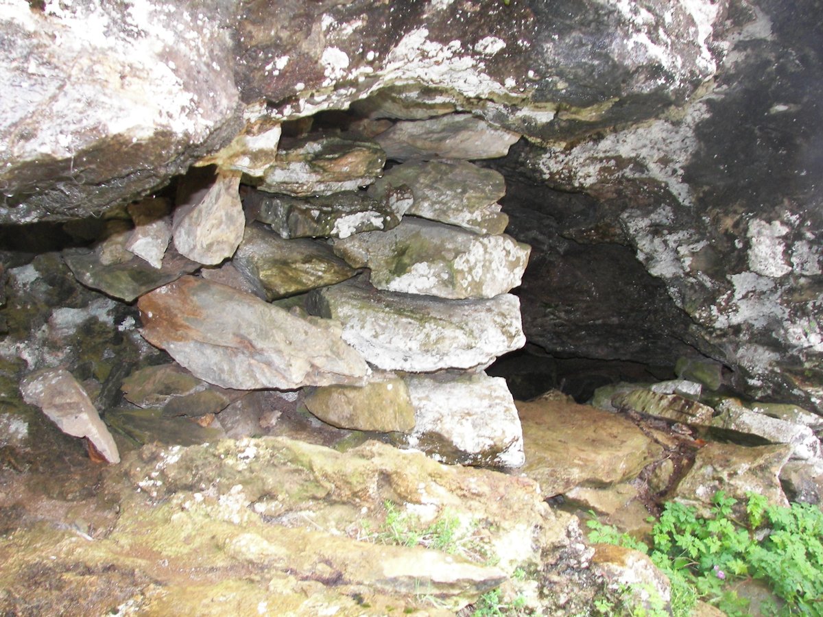 Y está acompañado de unas reflexiones esperanzadas sobre la vida, la familia, el rol social del empresario, la política, la ética, la espiritualidad, el perdón, la reconciliación...