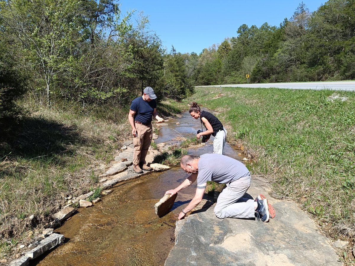 Kafka_project's tweet photo. Really great trip in the Ozark with Ronald Bonett, @grumpyDrFabre @i_tsst and @AnthonyHerrel https://t.co/08wRgKsiCV