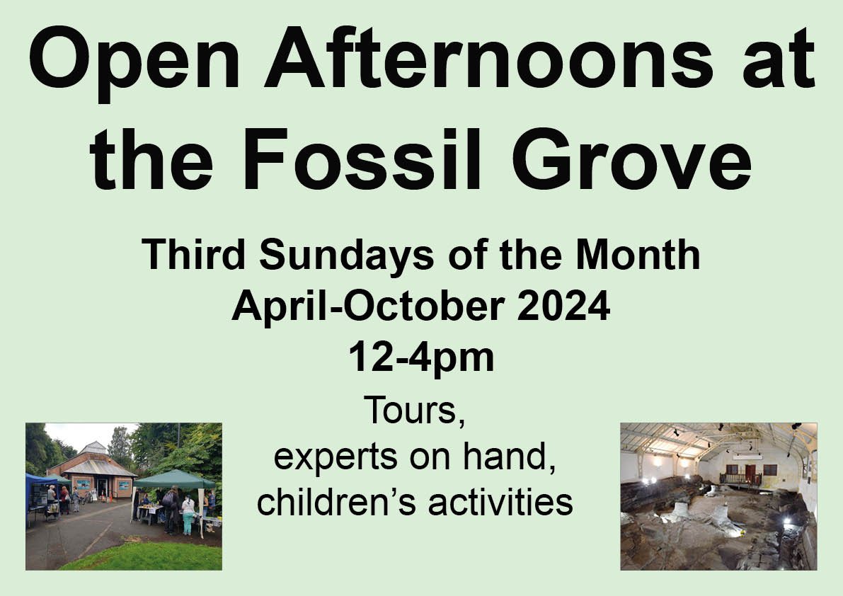 First Open Afternoon of the year at the Fossil Grove! Sunday 21st April 12-4. Experts on hand, children's activities
