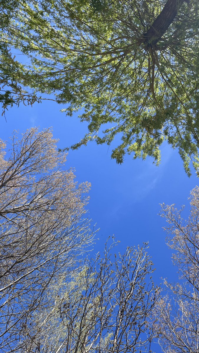 Verd i blau
Que necessari