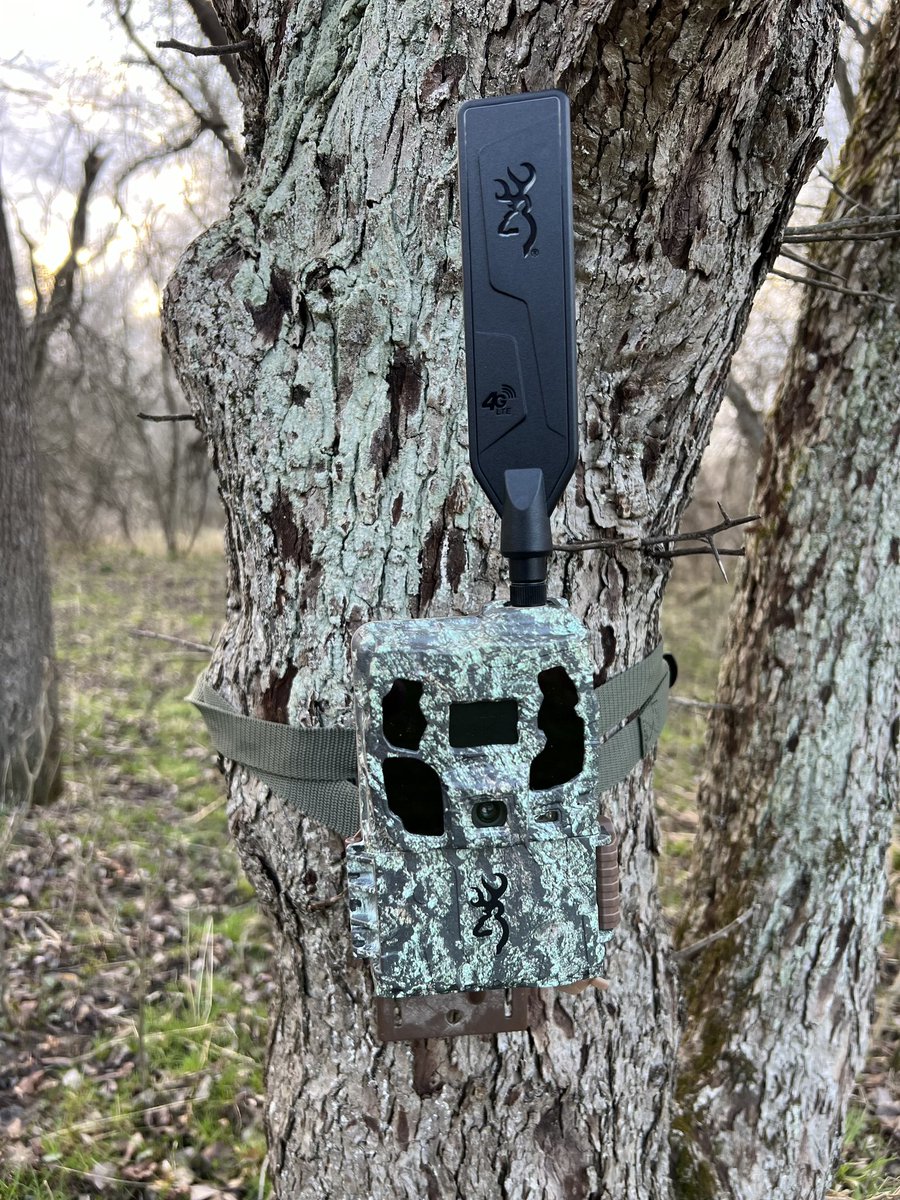 BrowningCams's tweet photo. Check out how well the new Browning Pro Scout Max HD blends in with this tree! 
Image: Brandon Borst 

#AlwaysThereWithBTC #BrowningCameras #youvegottoseethis #cellulartrailcamera #cellcam #trailcameras #Browning #camoflauge https://t.co/jww78o2e9p
