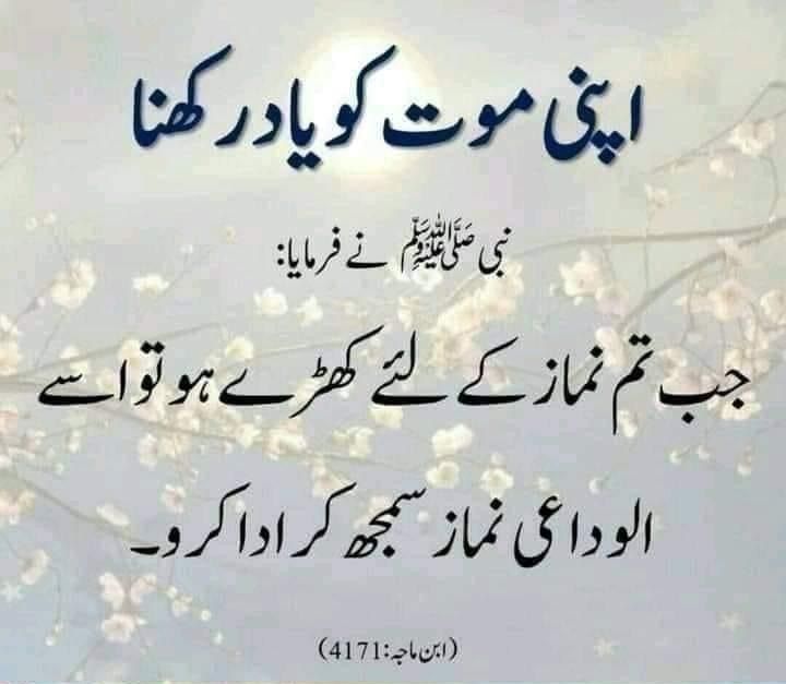 mustufaellahee's tweet photo. 🔴💫 احادیث مبارکہ صلی اللہ علیہ وآلہ وسلم 💬💎
#AllahuAkbar #Quranpak114 #blessoftheday #blessmorning #TwitterCommunity #NICE46 https://t.co/mufMywi44K