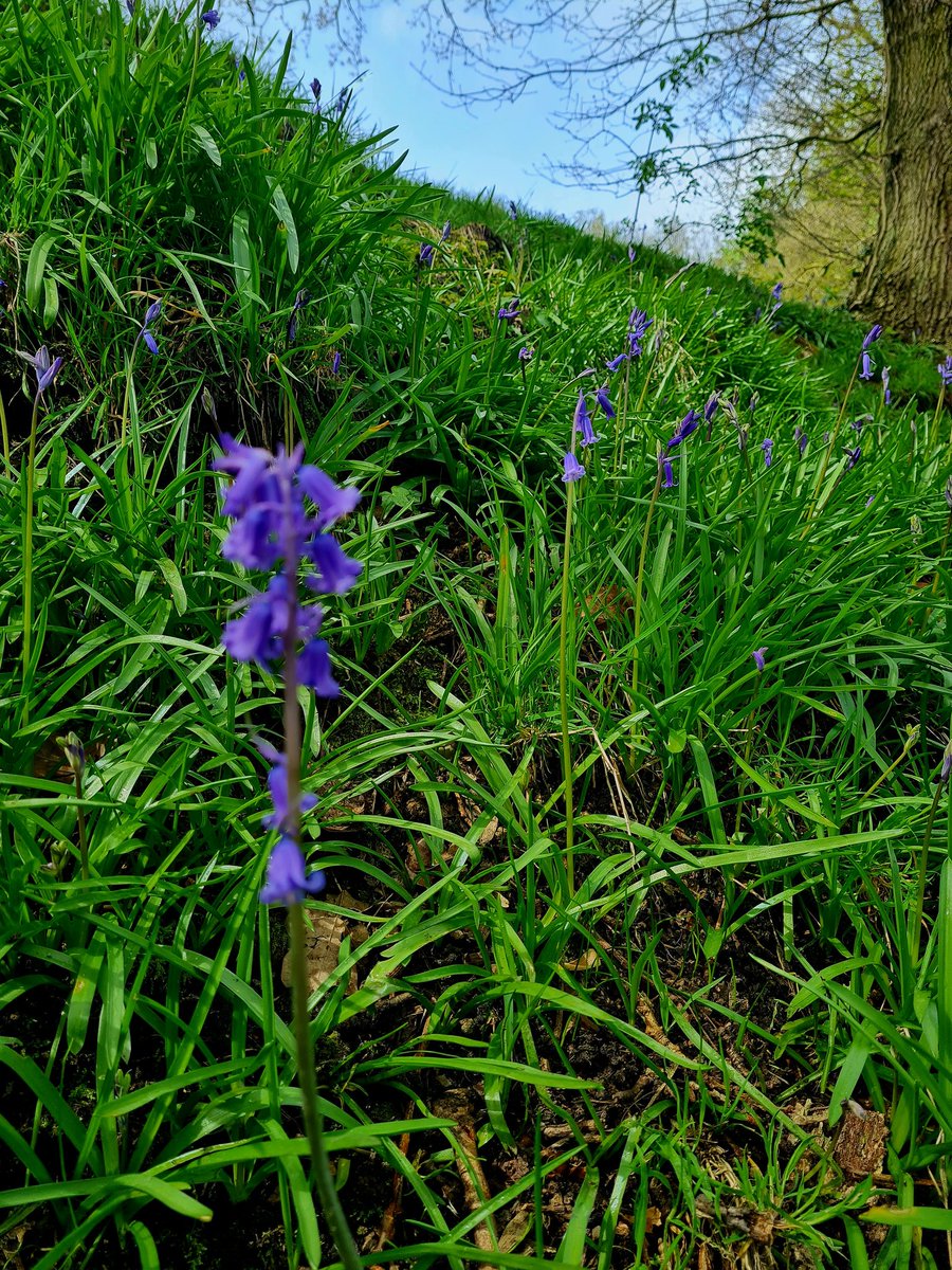 This morning's Man About Town men's mental health walk took us from @gottsparkgolf to the River Aire beach in Kirkstall Valley Nature Reserve @clothcatleeds @CreativeFrameUK @LeedsCommFound #malesuicideprevention #mentalhealth #armleybeach