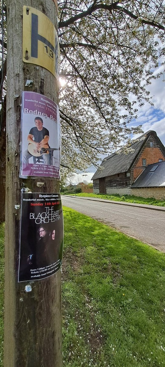 House Music tweet media