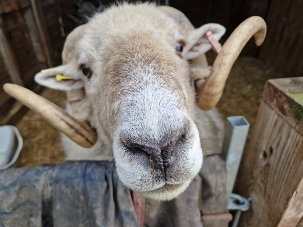 Wild about the Hills tweet media