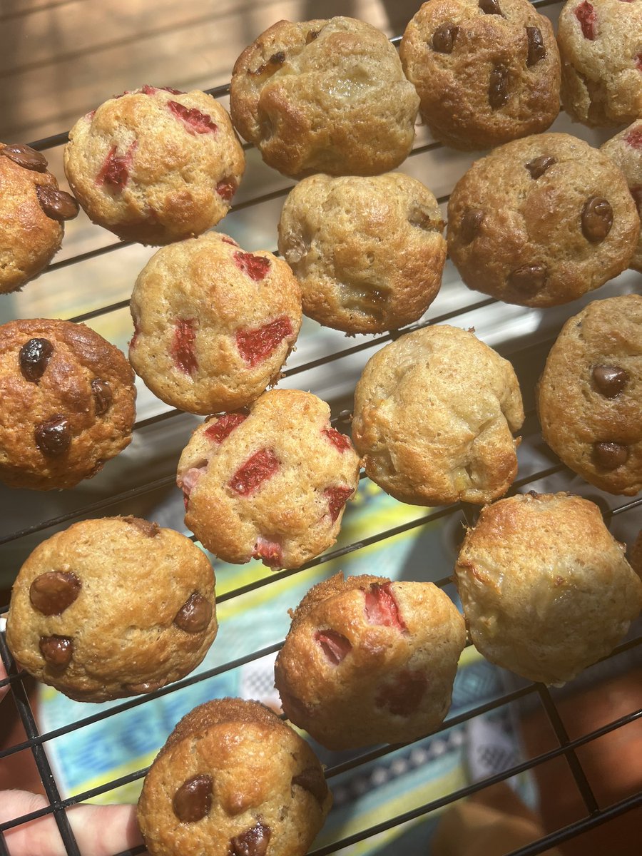 Spent my daughter’s nap making mini muffins for her. 

Will it be worth it or will she take one bite out of each and say “I don’t like it”?

Only time will tell…