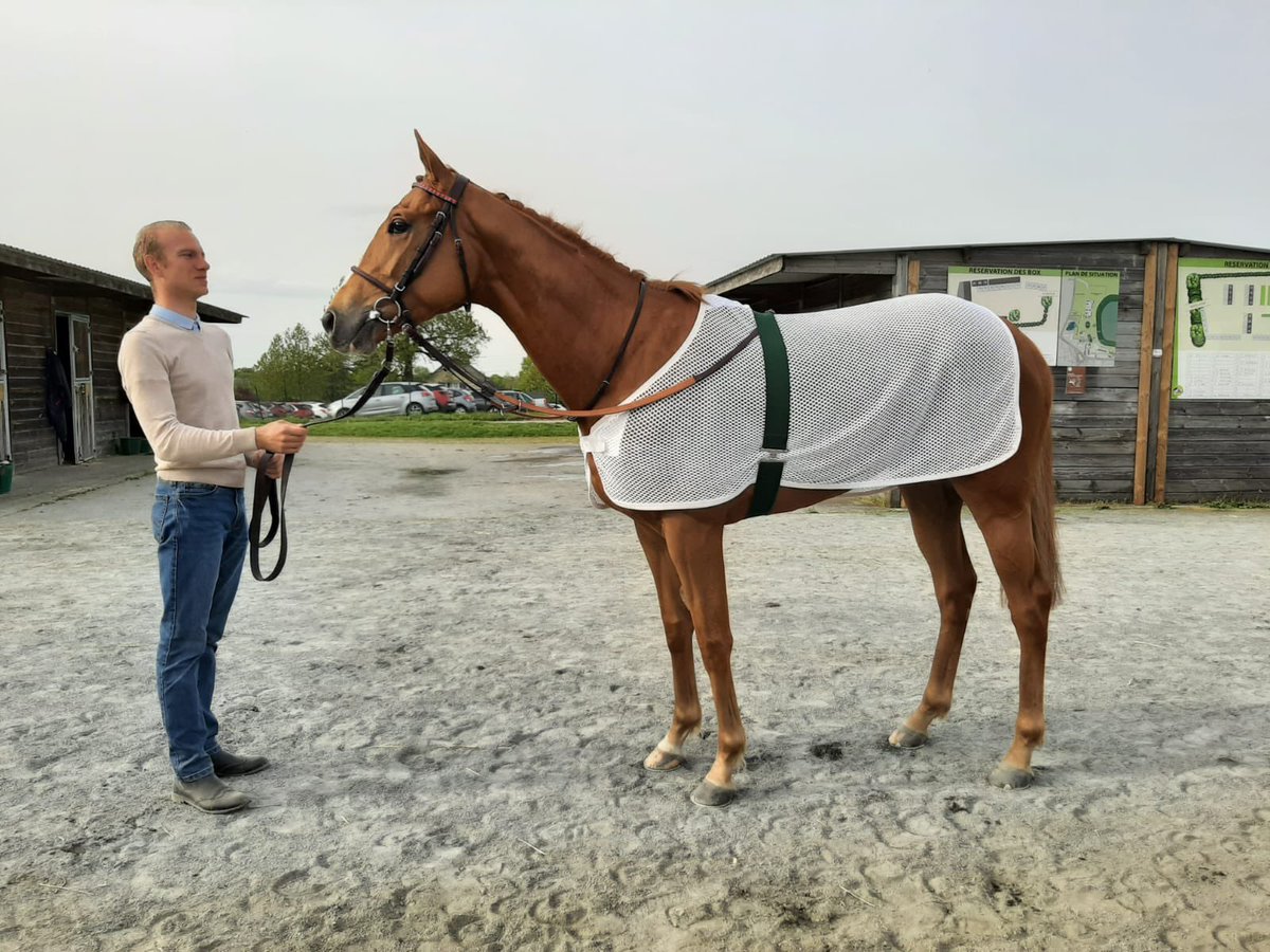 Ecurie Vivaldi tweet media